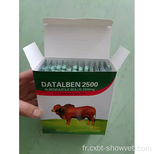 Comprimés d'albendazole GMP 500 mg pour l'utilisation du bétail uniquement